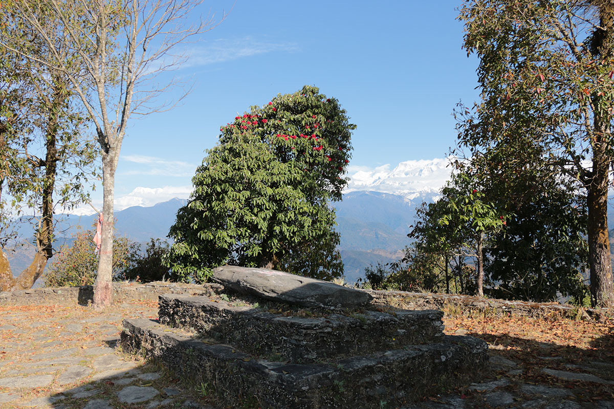 गुमनाम दुराको इतिहास  उत्खननमा श्रीकान्त